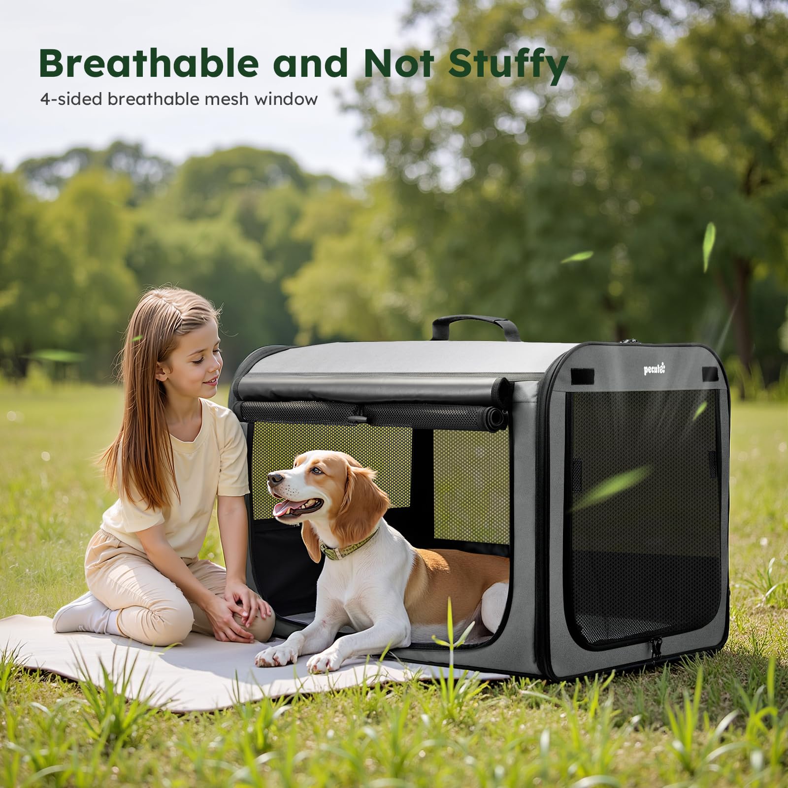 Pecute large dog carrier spacious-68-5x52x52 reveals ample room for movement.