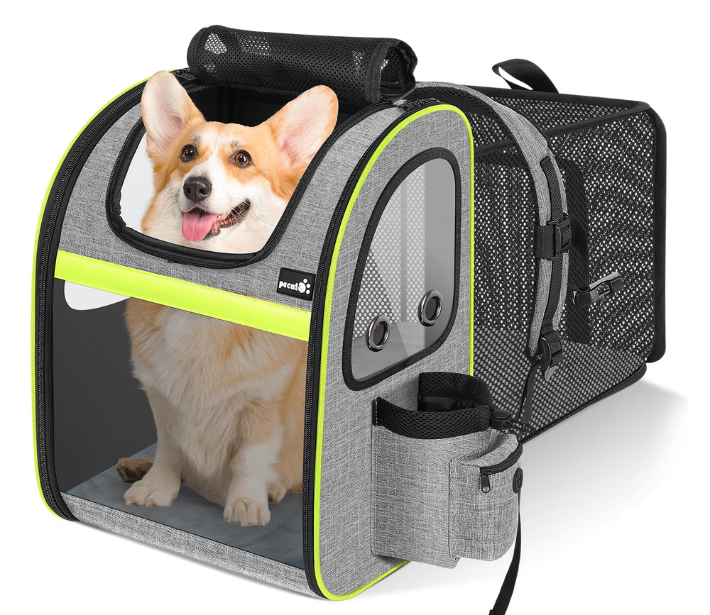 Pecute pet carrier backpack expandable design provides extra space for comfortable travel.