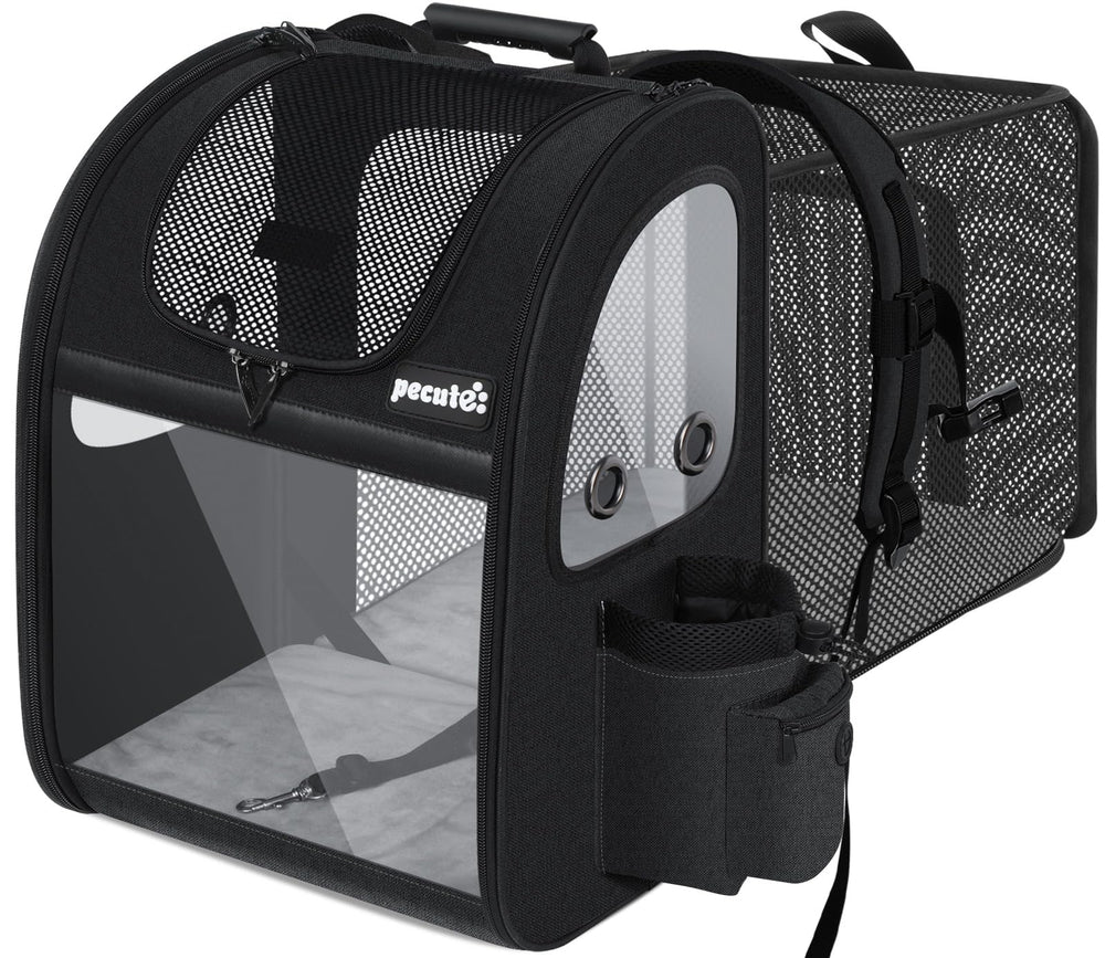 Pecute pet carrier backpack front view with pet inside for comfortable travel