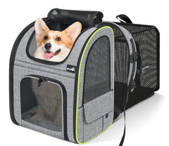 Pecute pet carrier backpack front view shows roomy interior for cats and small dogs.