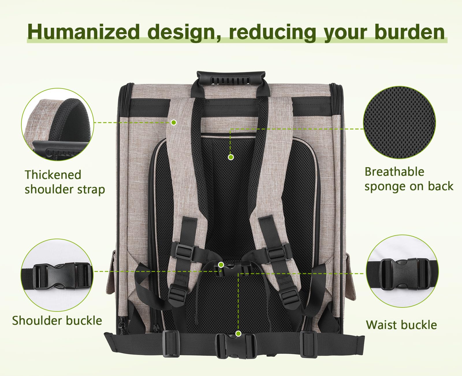Pecute interior with removable cushion for quick cleaning.