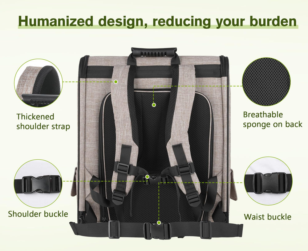Pecute interior with removable cushion for quick cleaning.