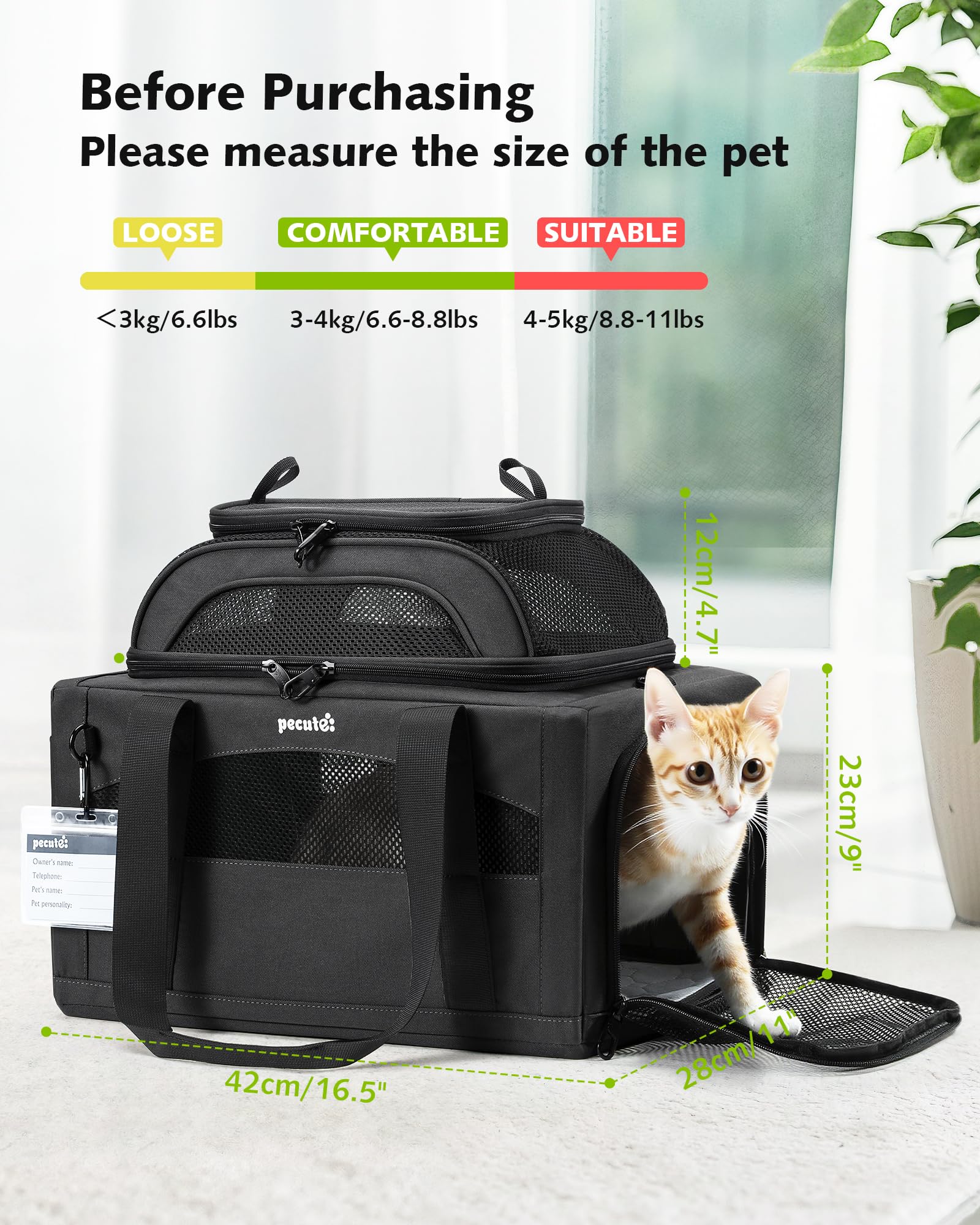 Pecute carrier includes pet ID tag for quick identification.