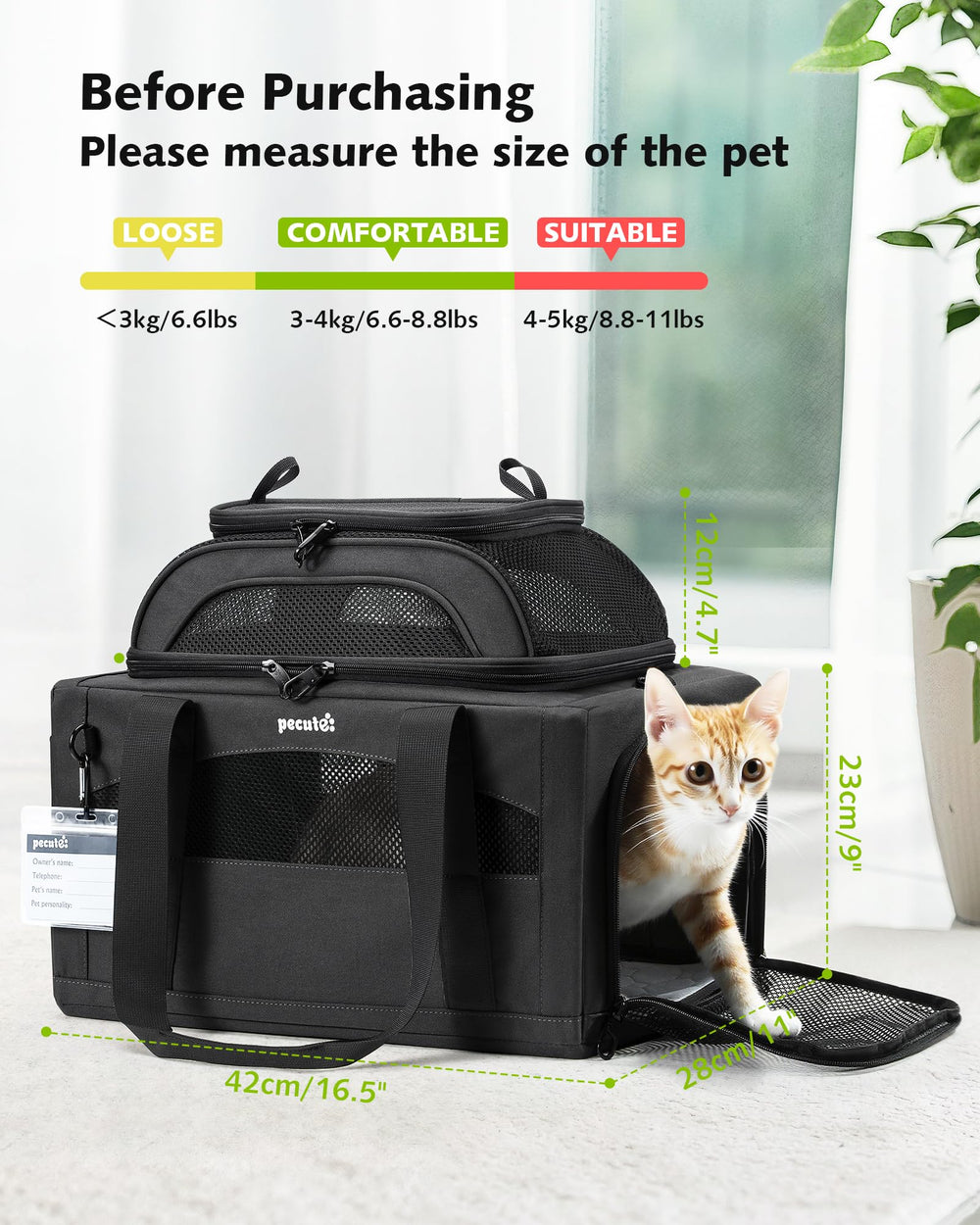 Pecute carrier includes pet ID tag for quick identification.
