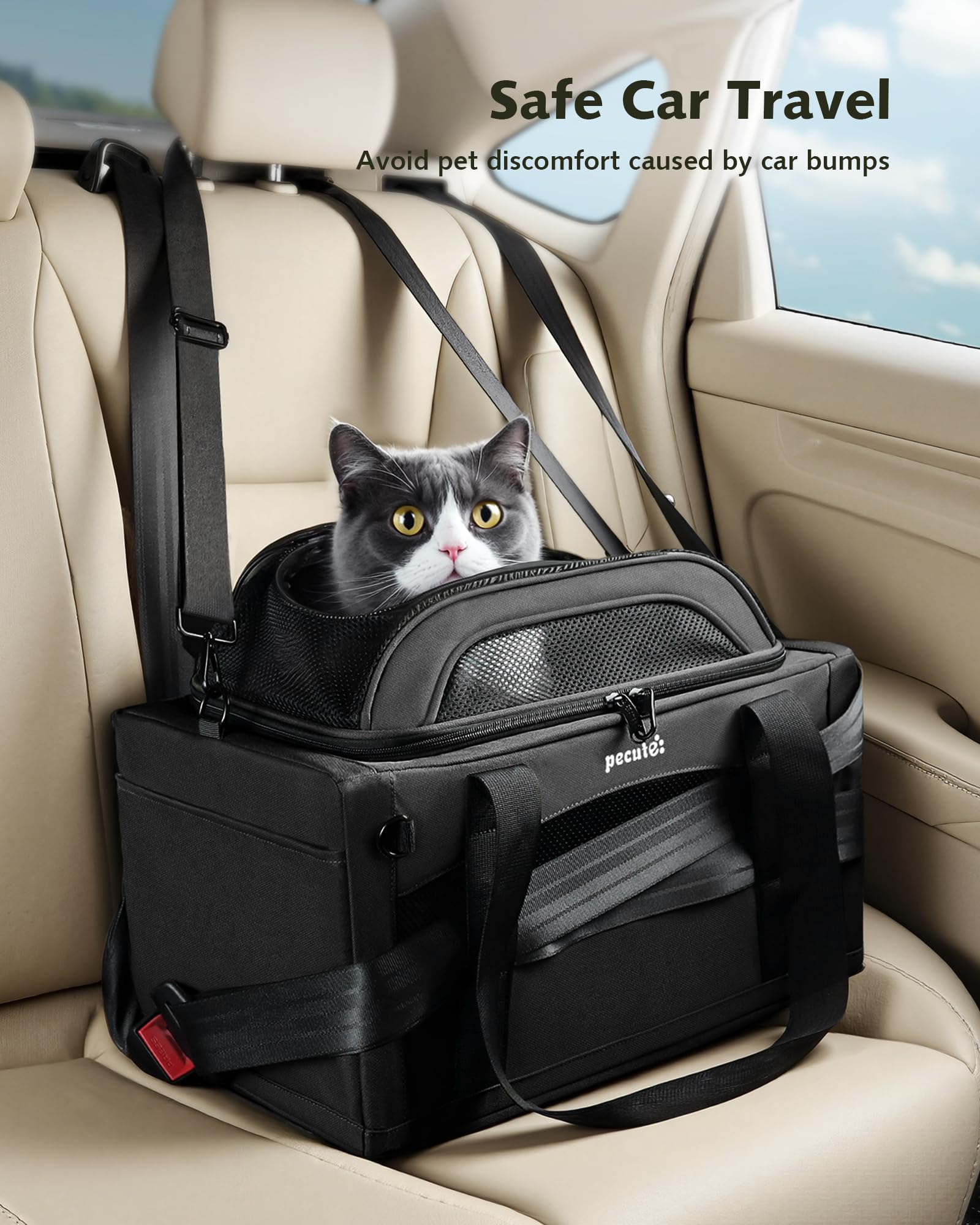 Pecute carrier suitcase attachment compatible with luggage handles for convenience.