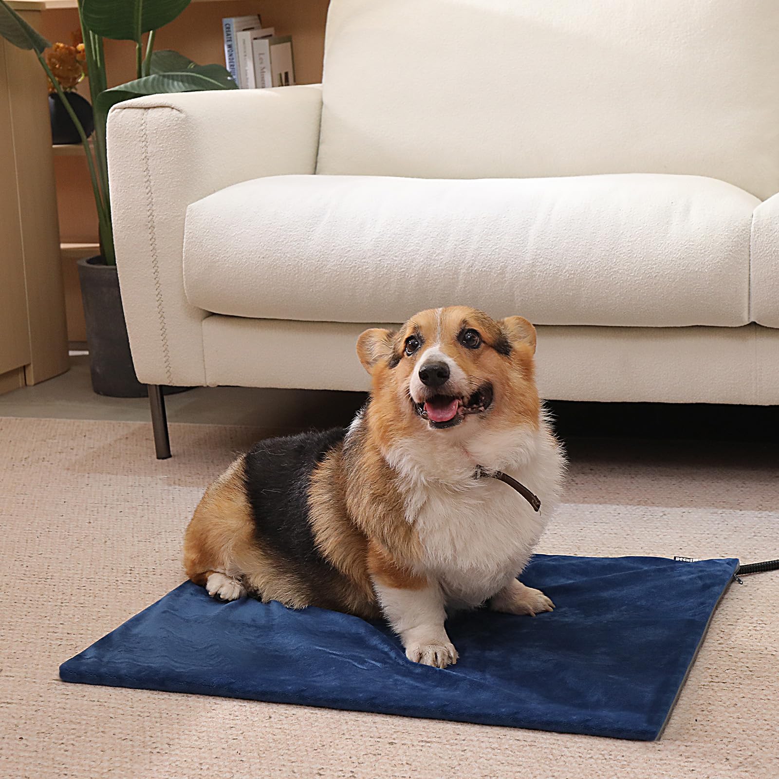 Pecute Pet Heating Pad cozy-pet-sleep invites pets to settle comfortably