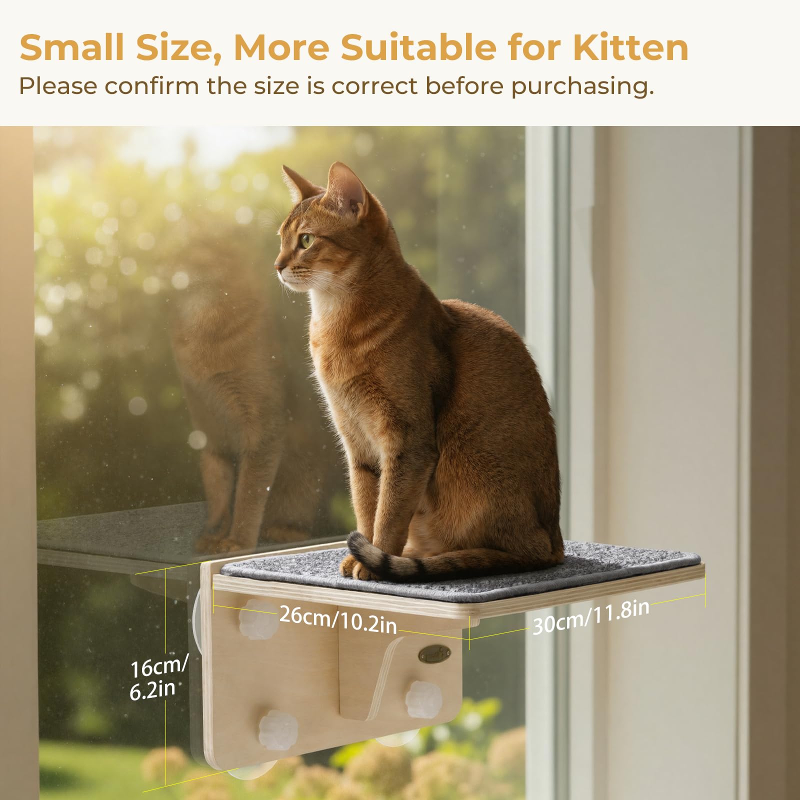 Pecute high-strength suction cups maximize safety during playful kitten sessions.