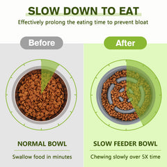 Pecute slow-feeder bowl 13.5oz extends eating time.