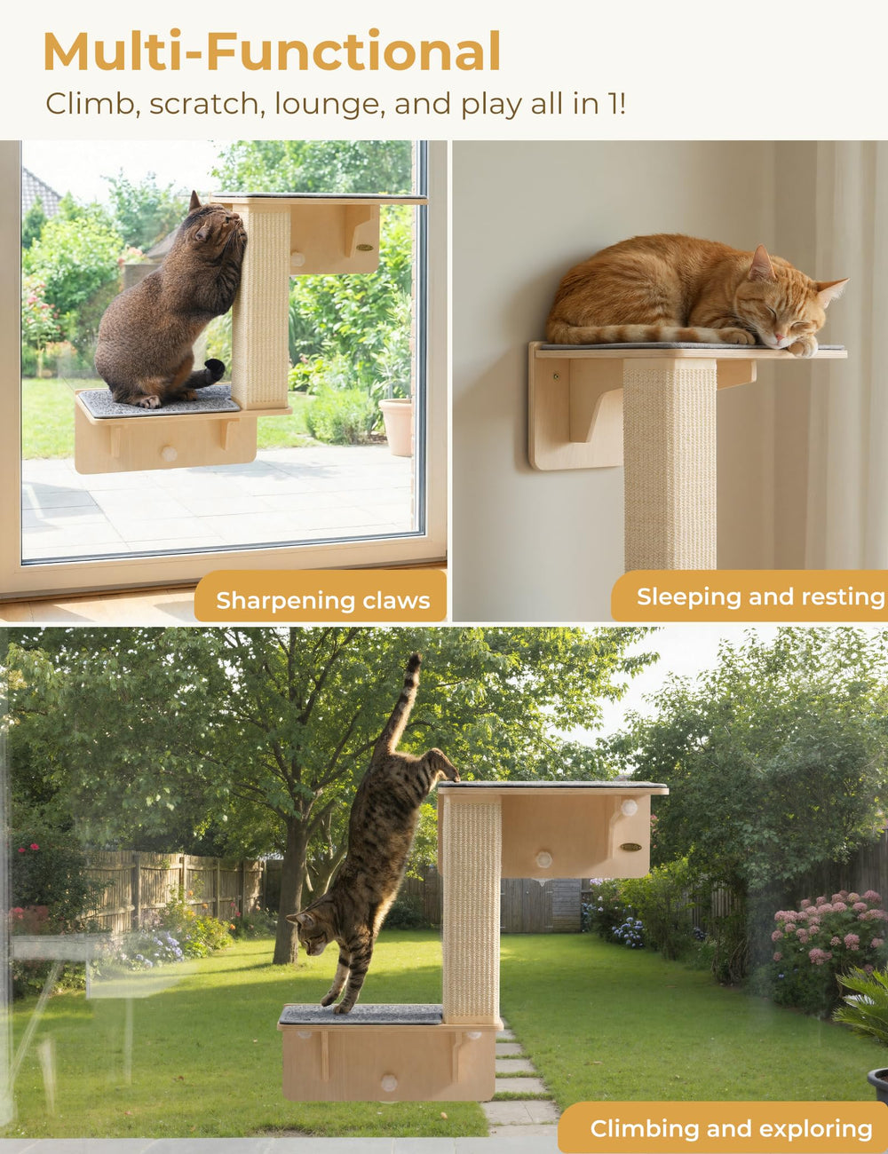 Pecute small-size cat shelves fit compact spaces while inviting exploration.