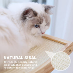 Pecute solid wood frame construction ensures sturdy cat lounging