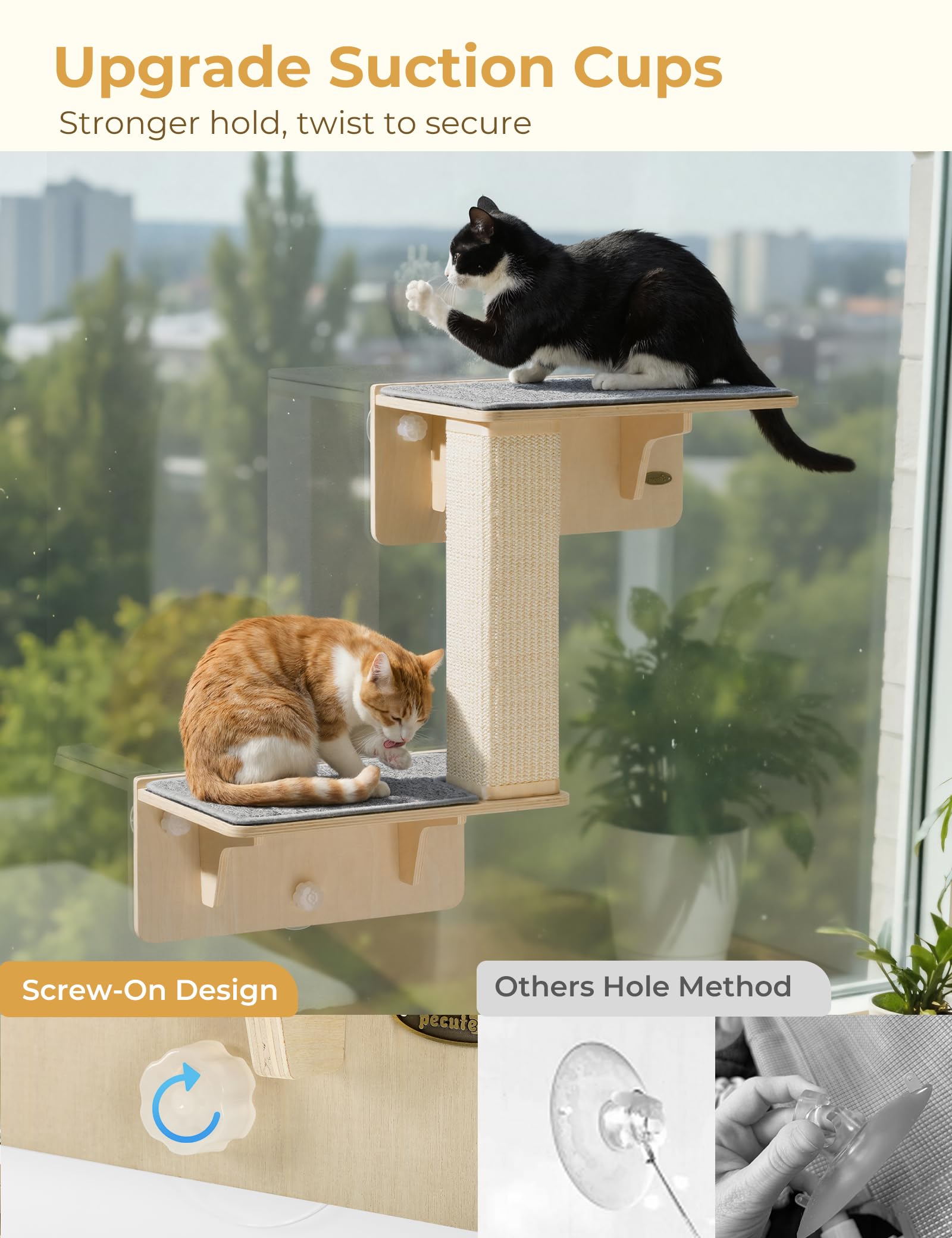 Pecute strong-suction cup mounts secure on glass or smooth walls.
