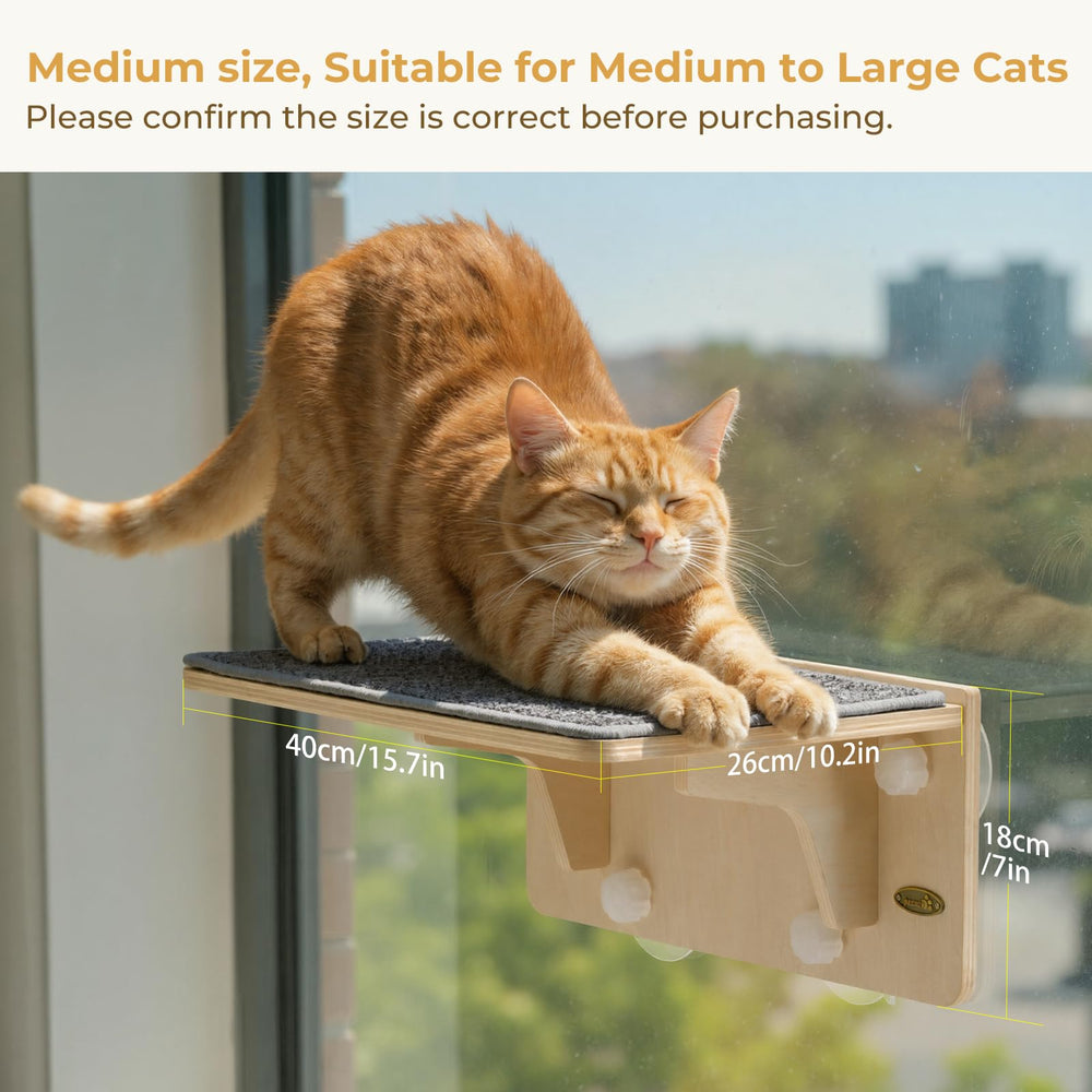 Pecute durable polyester fabric offers a cozy lounge and scratch spot