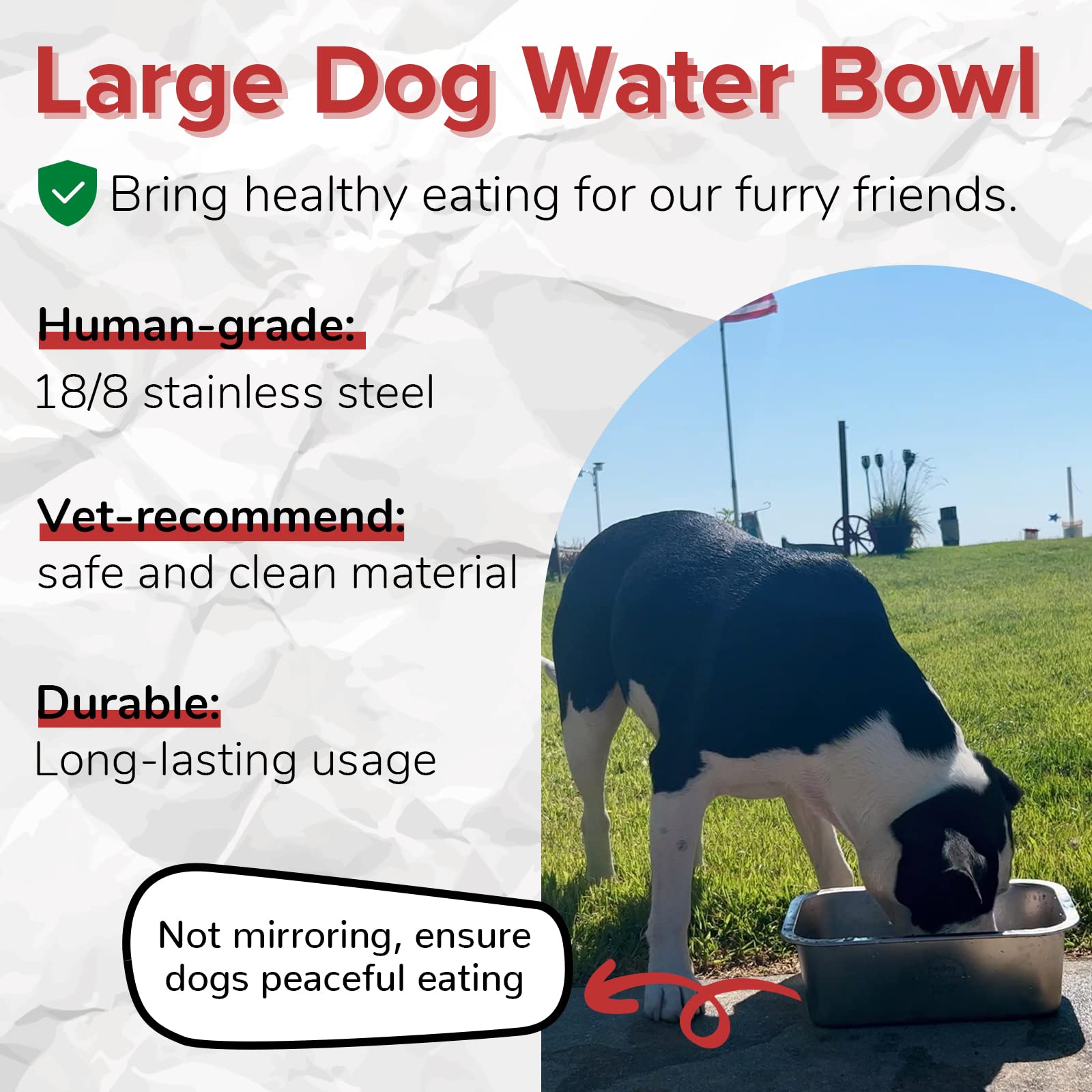 PEDAY 304 stainless steel dog bowl close-up emphasizes hygienic durable material