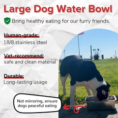 PEDAY 304 stainless steel dog bowl close-up emphasizes hygienic durable material