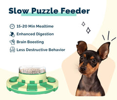 pedgogo file toy durable food-grade PP plastic withstands daily use.