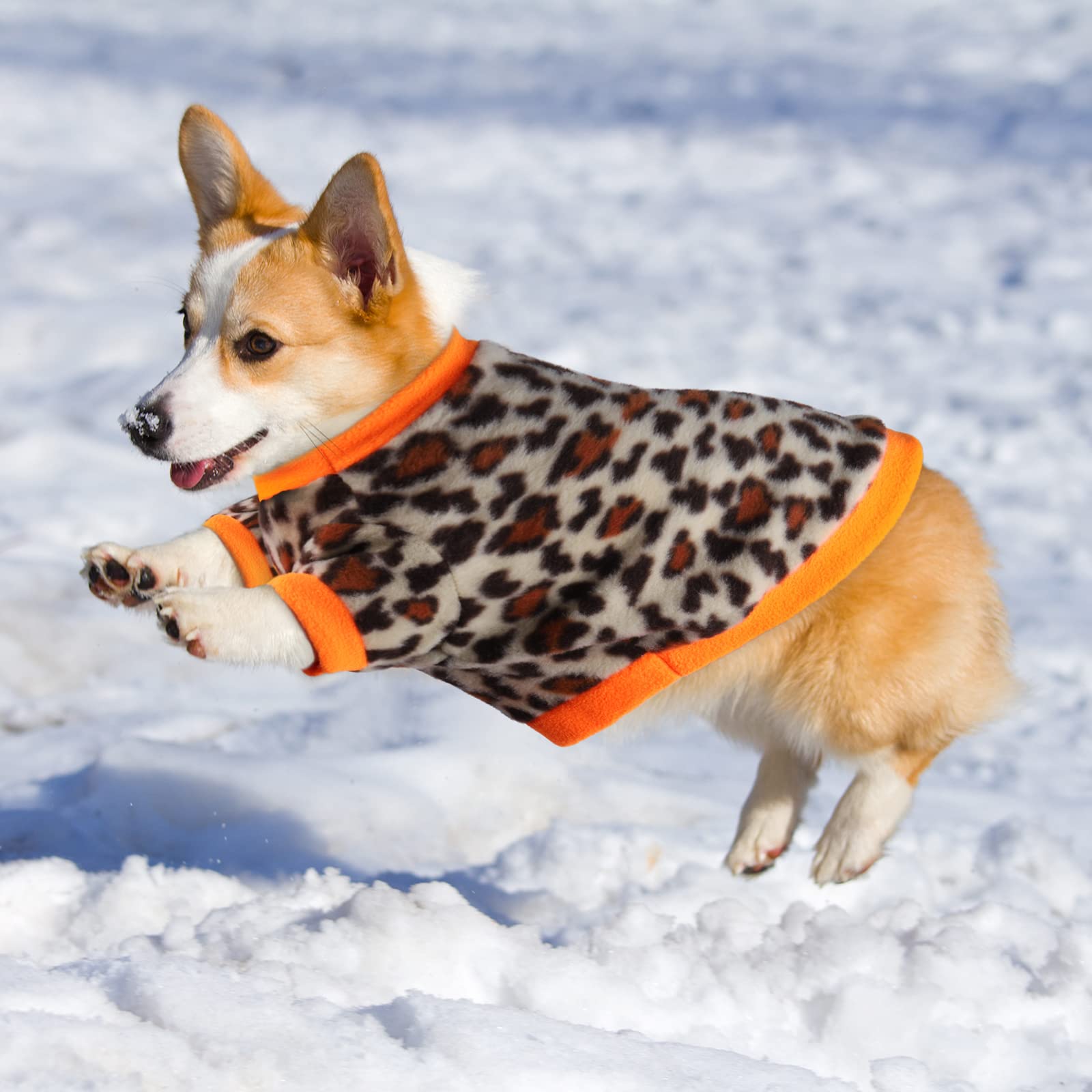 Pedgot colored star sweater showcases bright style and warmth for daily adventures.