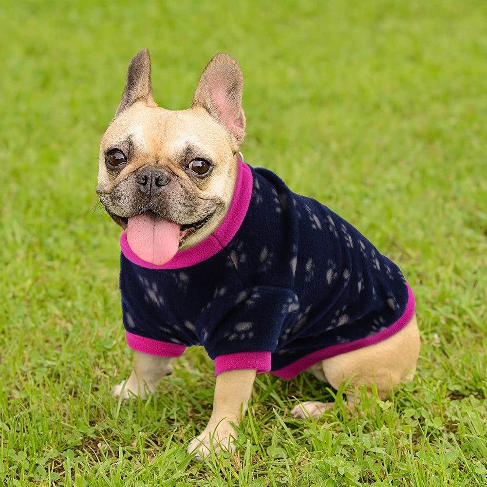 Pedgot footprint pattern sweater promotes cute appeal during photos and walks.
