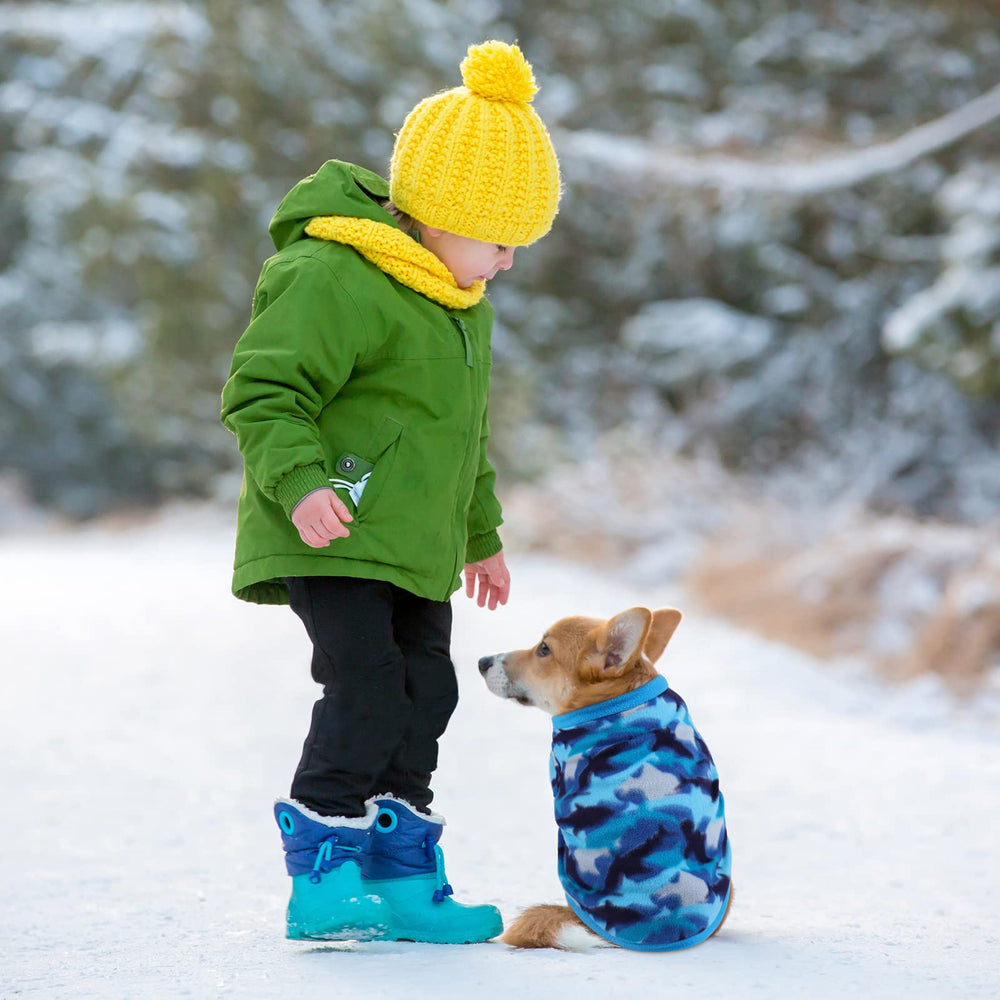Pedgot purple velvet sweater adds a chic touch while keeping small pets comfortable.