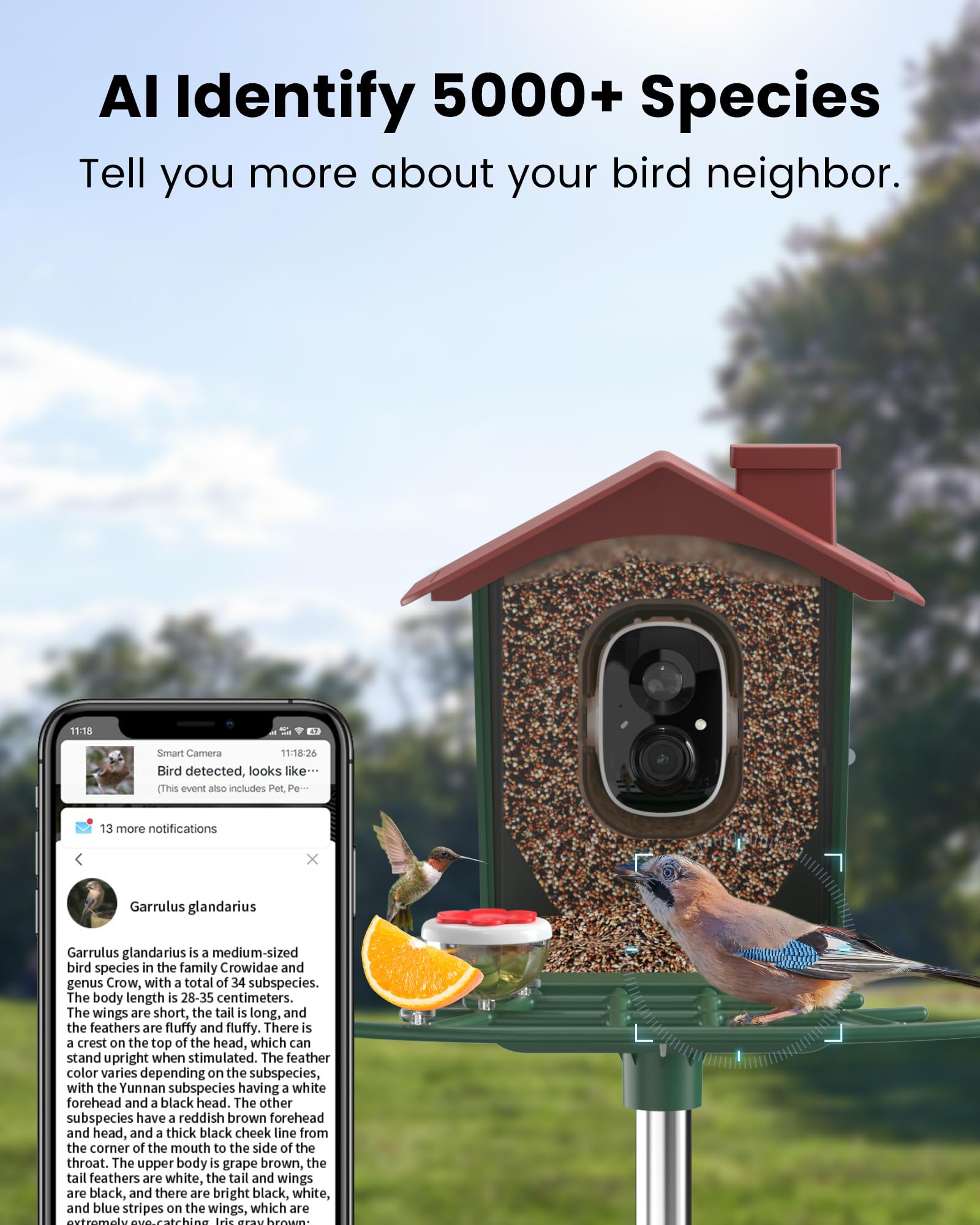 PEEIPM two way audio on bird feeder for remote talk