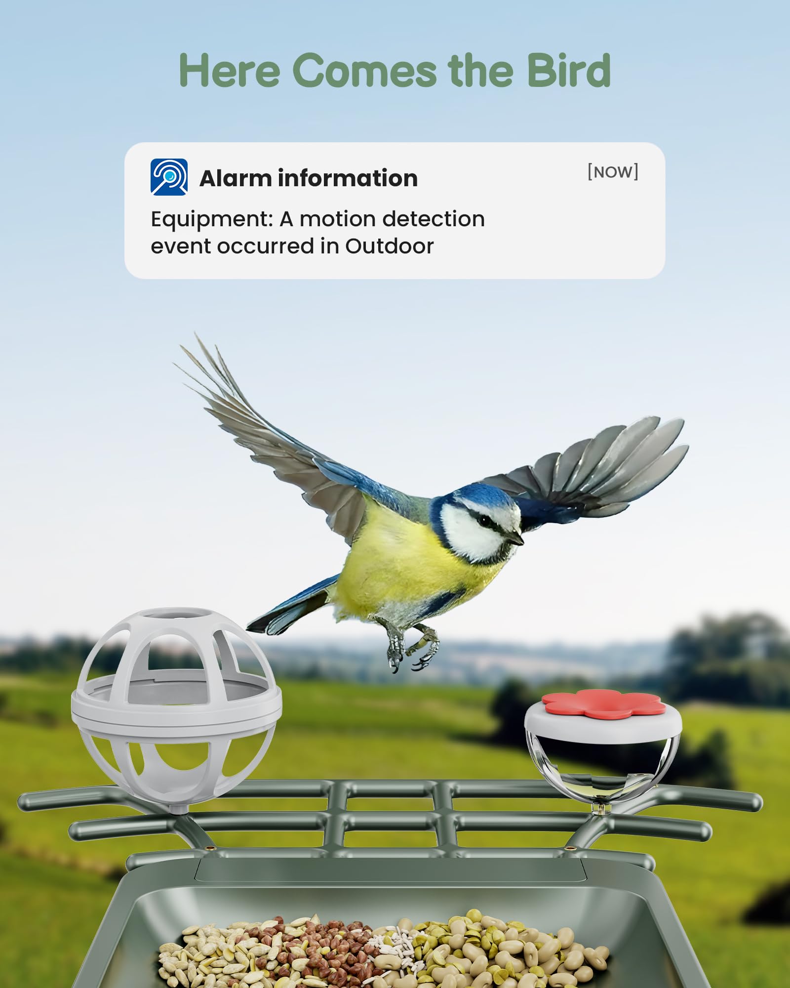 PEEIPM AI recognition identifies visiting birds clearly