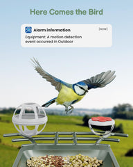 PEEIPM AI recognition identifies visiting birds clearly