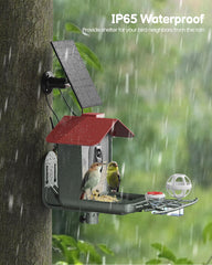 PEEIPM solar powered camera bird feeder in sunlight