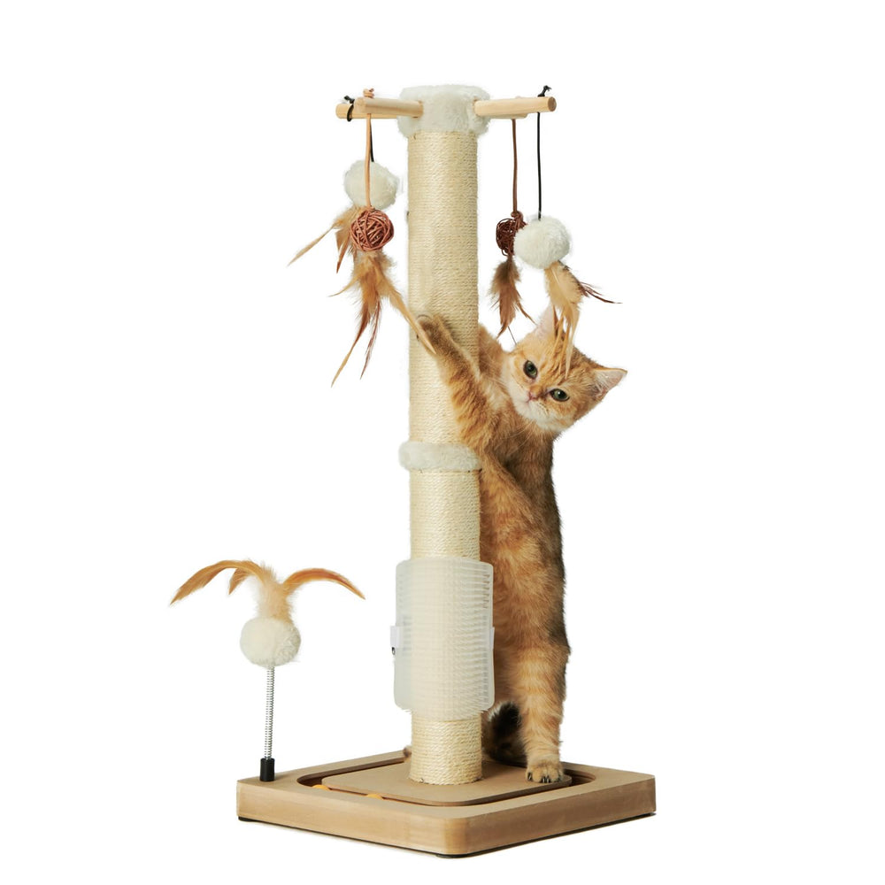 PEEKAB cat scratching post for kittens supports energy release