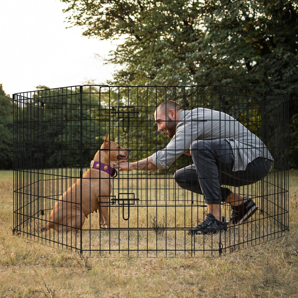 Peekaboo dog pen easy tool-free assembly for fast setup.