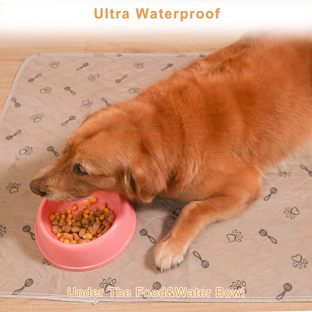 peepeego 48x96 dog pad bed-protection setup keeps furniture clean