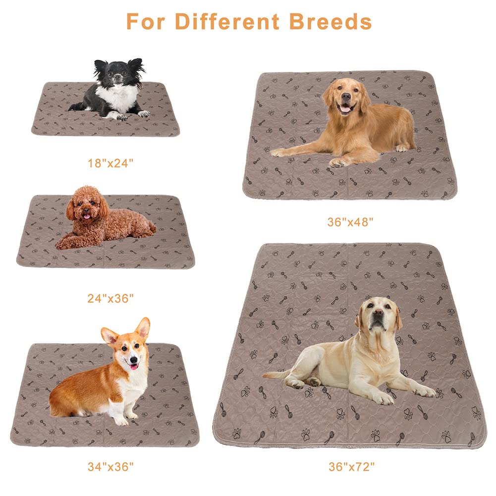 Peepeego free dog comb included with the pads for grooming