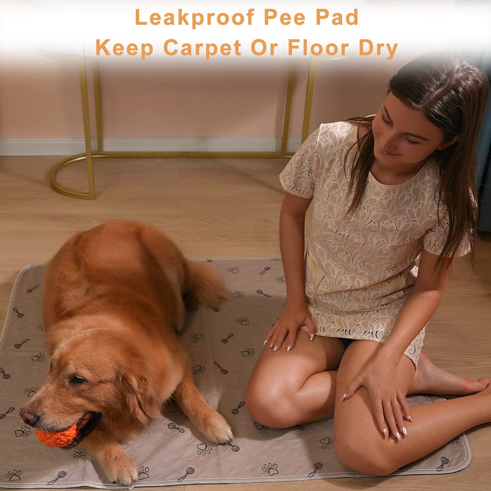 Peepeego puppy-training-pad supports potty training with absorbent surface.