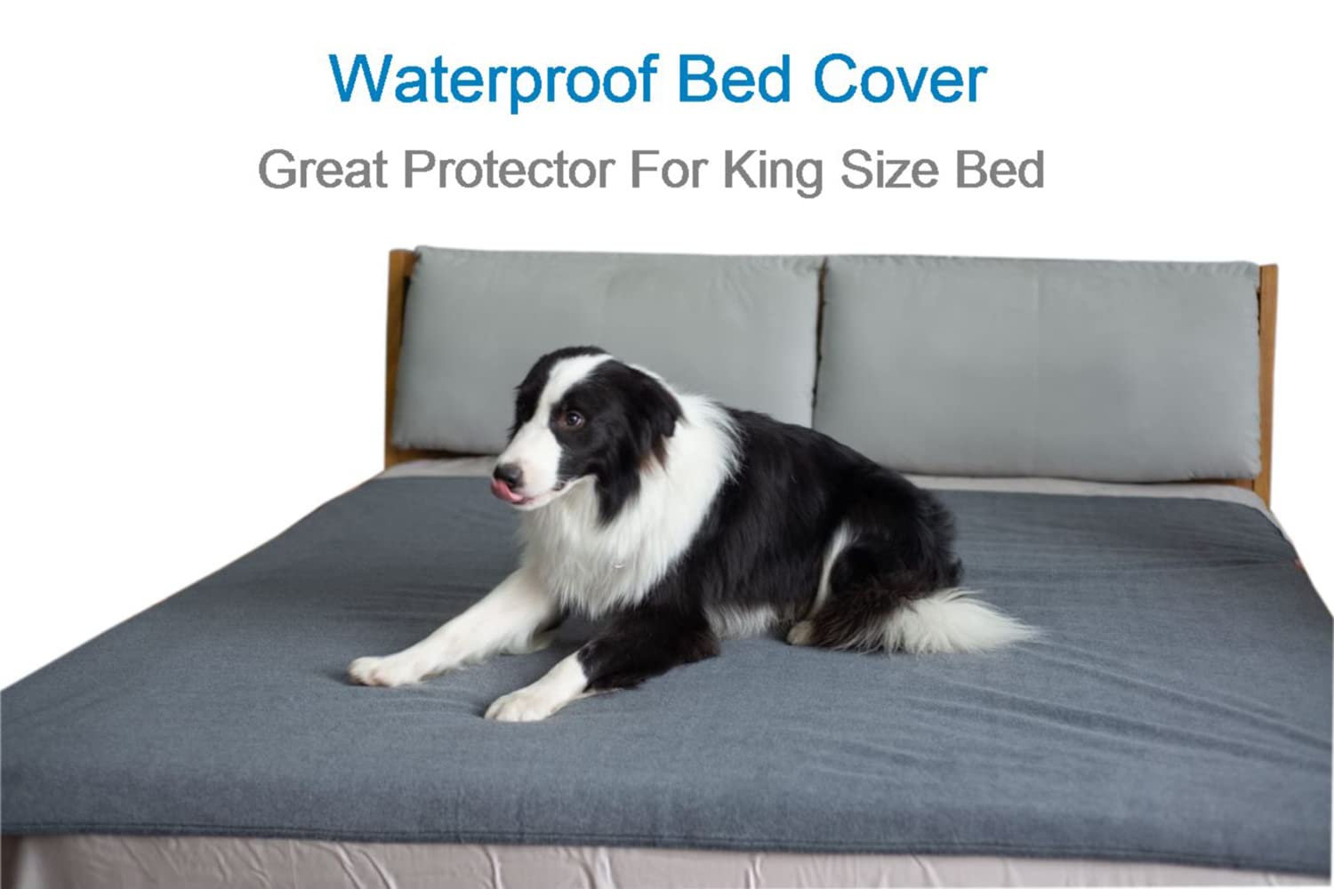 Peepeego training pad in car or sofa areas helps keep spaces cleaner