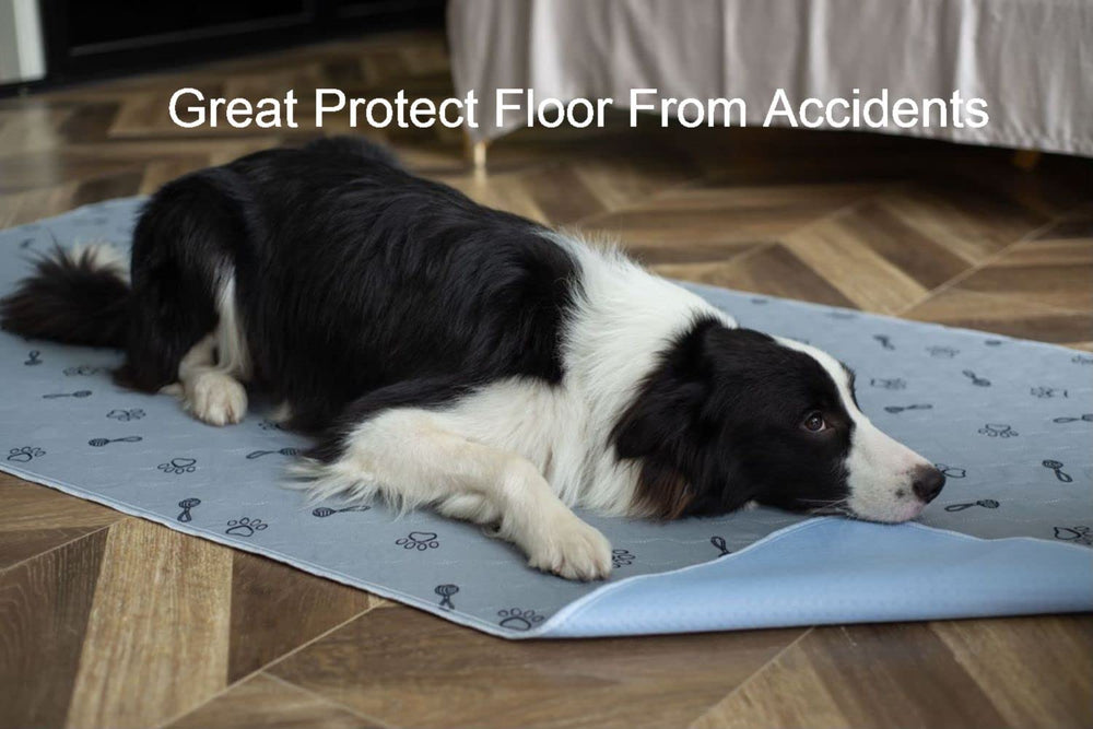 Peepeego washable absorbent dog pad, reusable and easy to clean