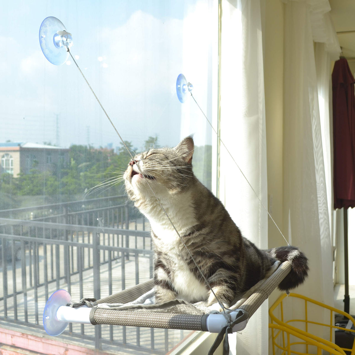 PEFUNY Cat Window Hammock beige provides sunlit lounging on a sturdy perch.
