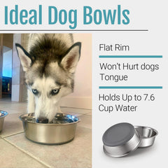 Peggy11 dishwasher-safe dog bowls for quick, effortless cleanup.
