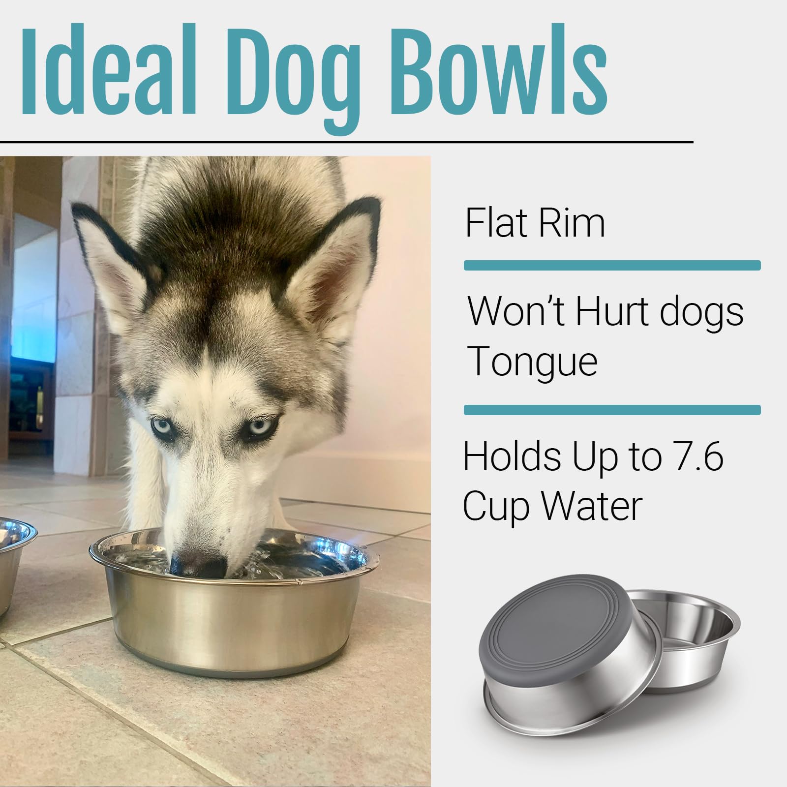 PEGYY11 dishwasher-safe dog bowls for easy cleaning after meals.
