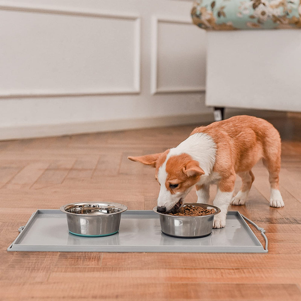PEGGY11 multi-size dog bowls from 2 to 16 cups for pets