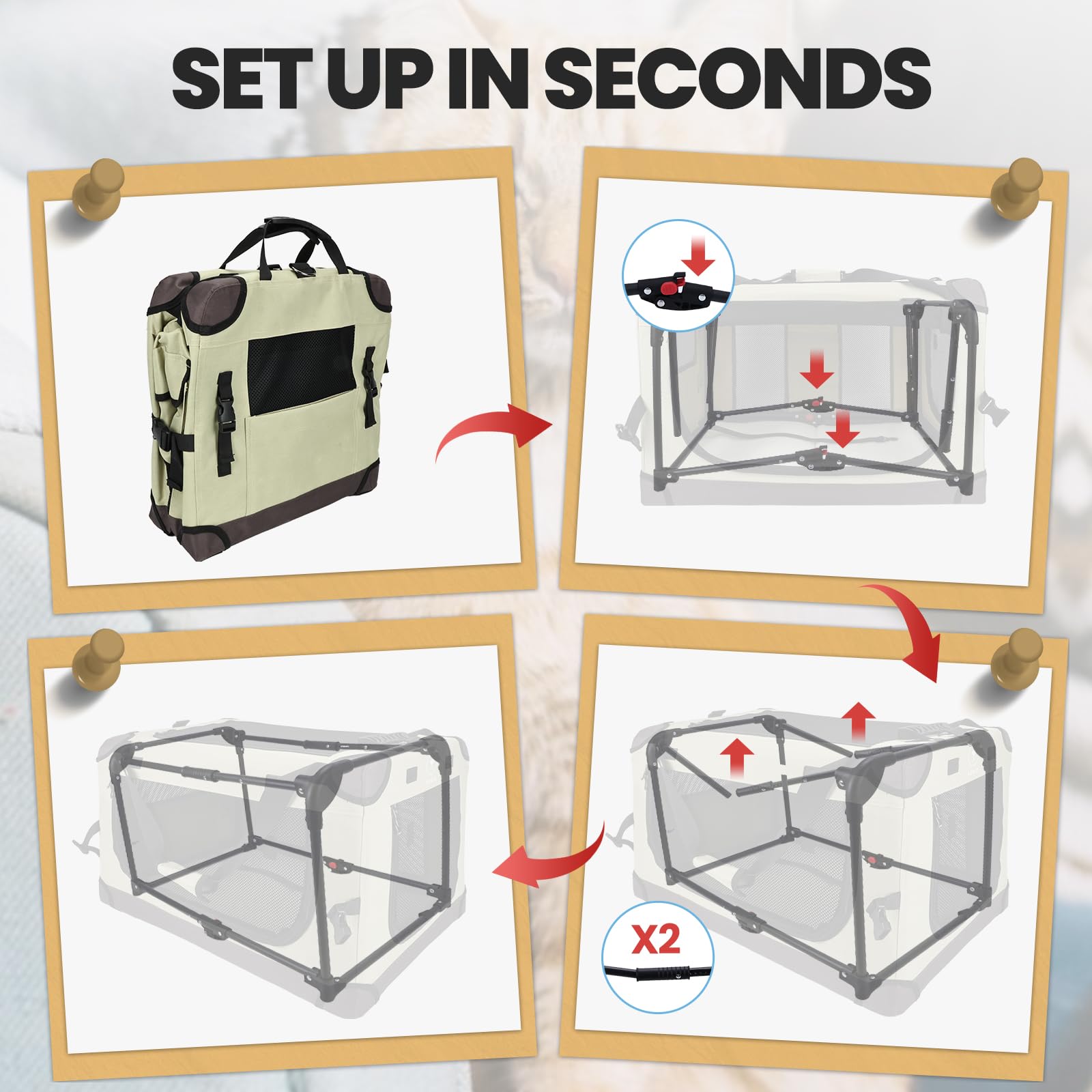 PEGIC carrier used as indoor pet home or outdoor portable carrier.