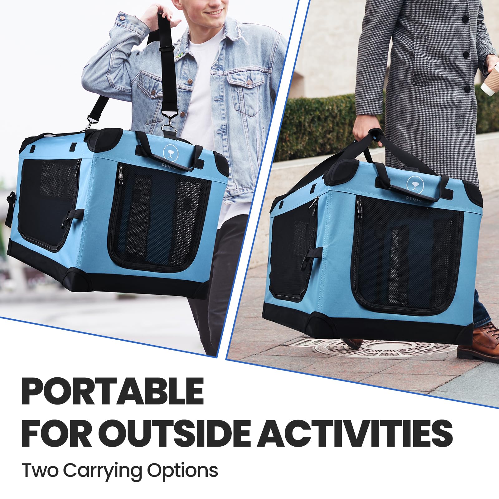 Roomy PEGIC carrier interior fits two kittens or a small dog up to 50 lbs
