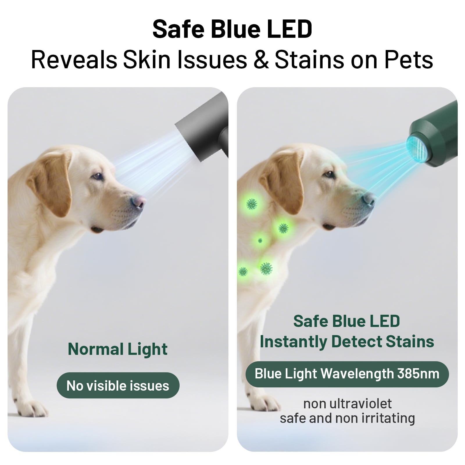 Pehum dog-cat hair-dryer blue LED aids safe, precise stain spotting during grooming