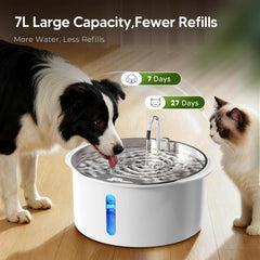 PEKTACO dog water fountain with LED light water level window for easy monitoring.