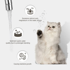 PEKTACO pre-filter sponges 9-pack shown to reduce debris and keep water cleaner.