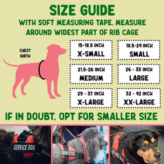 Pelto metal ID tag with durable clip for reliable service dog identification.