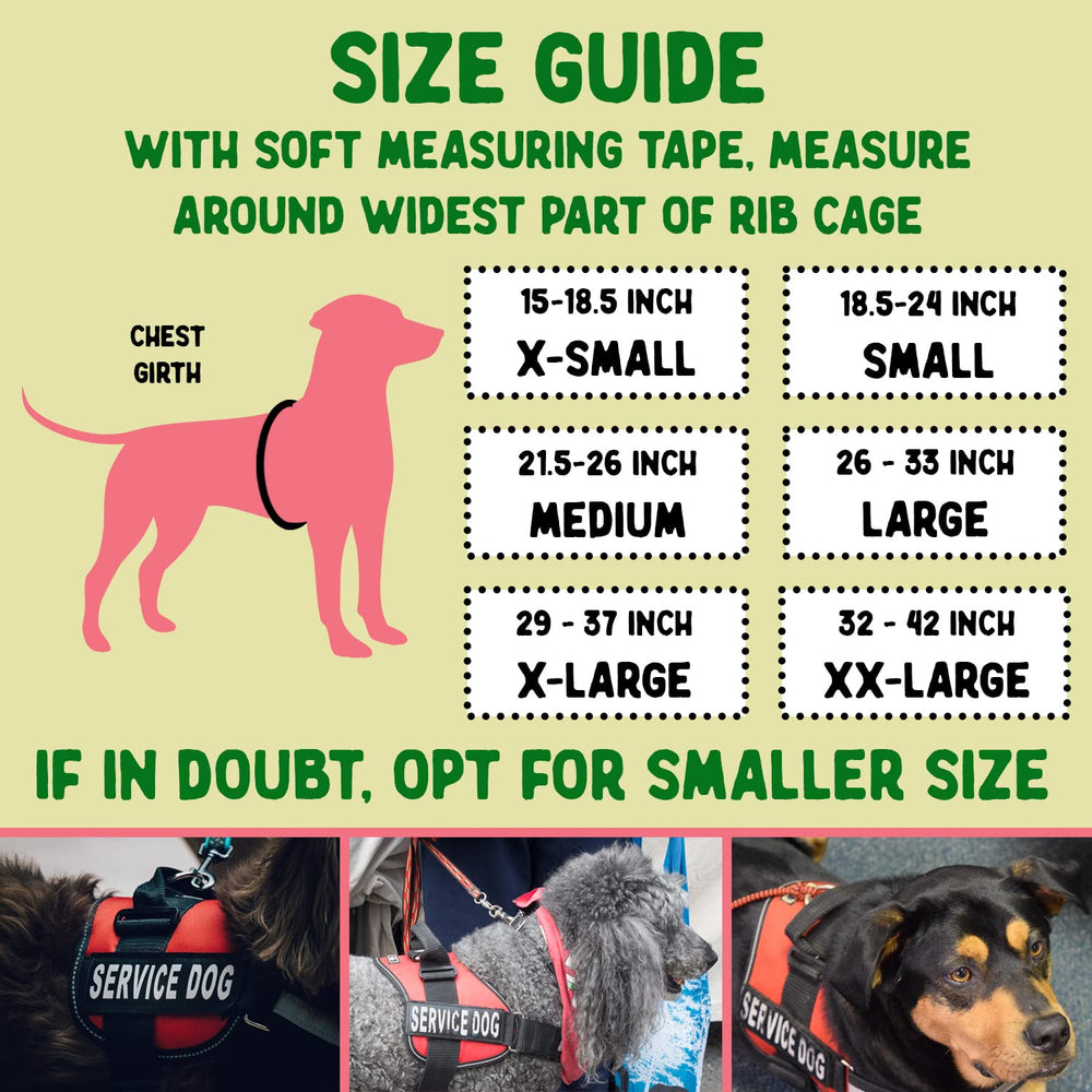 Pelto service dog ID tag on metal clip for durable identification.