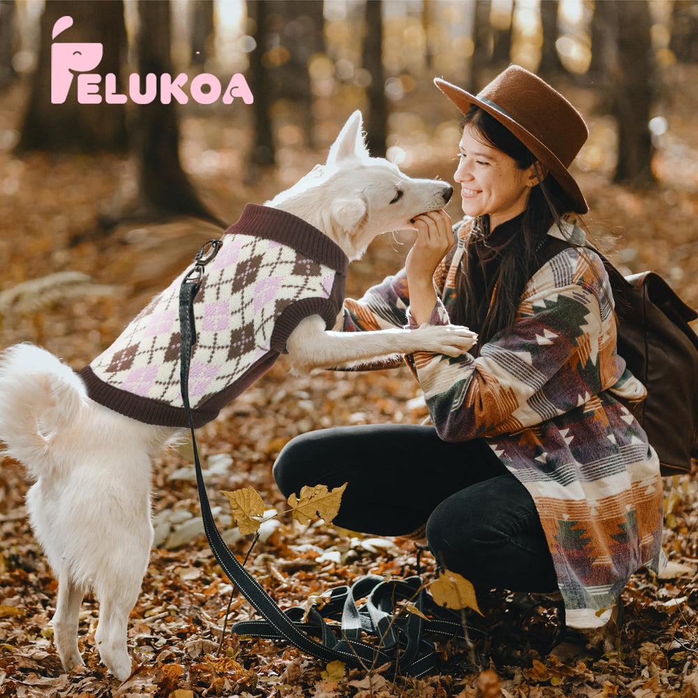 PELUKOA cat-suitable knit sweater shown in brown argyle style