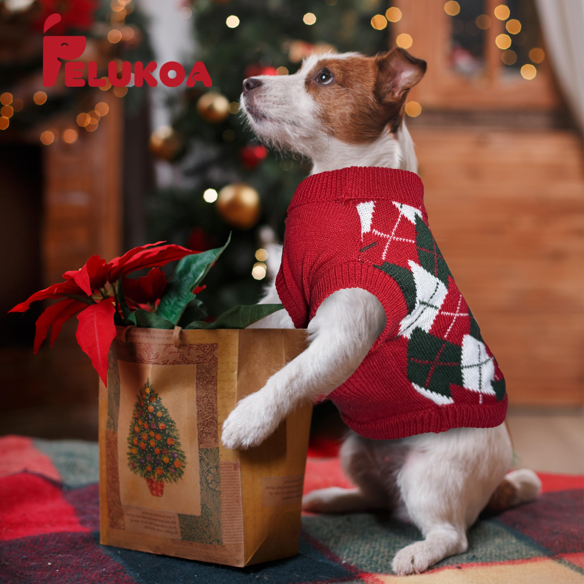 PELUKOA argyle pattern adds retro charm for festive outings