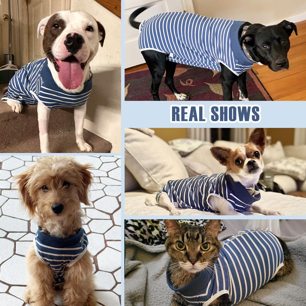 Pelukoa Recovery Suit Cats and Dogs blue XXL fit illustrates versatile comfort