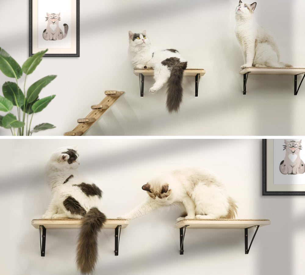 PELUMOZ 2pc 4-step stairs in use, showcasing space-saving vertical play.