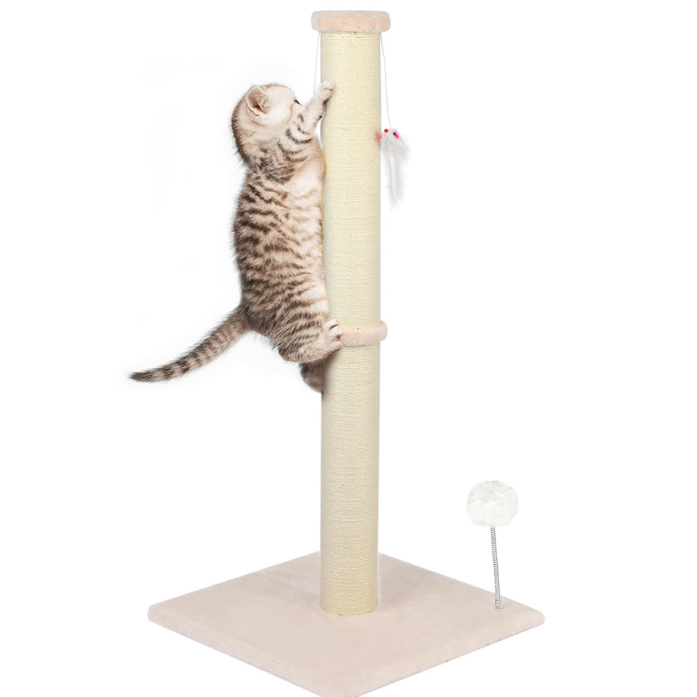 PELUMOZ 36-inch tall cat scratching post with sturdy base.