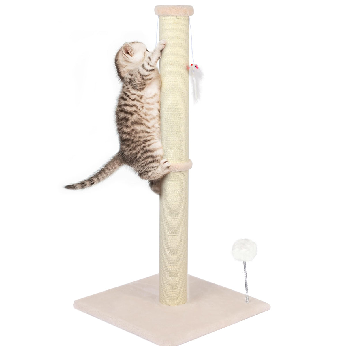 PELUMOZ 36-inch tall cat scratching post with sturdy base.